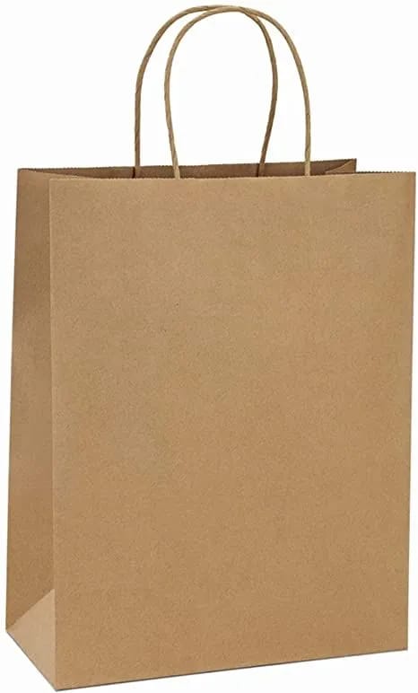Classic Brown Kraft Gift Bag