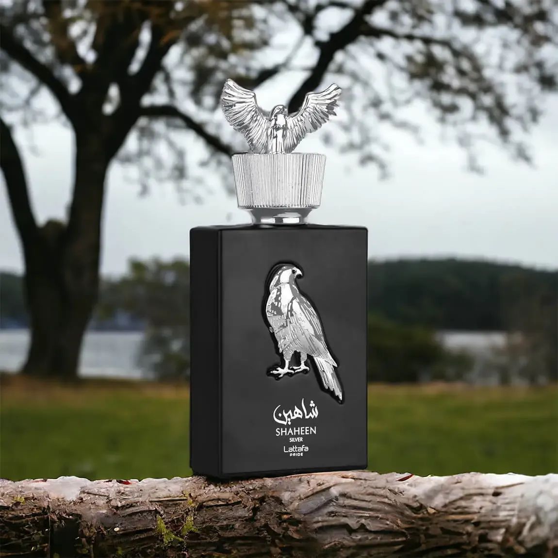 shaheen silver