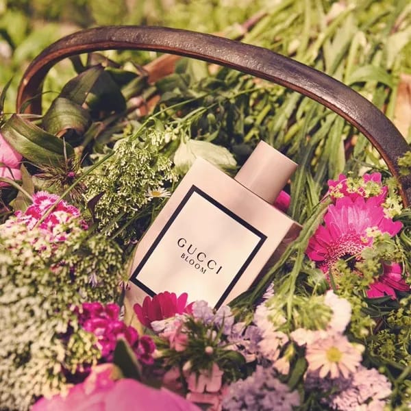 gucci bloom