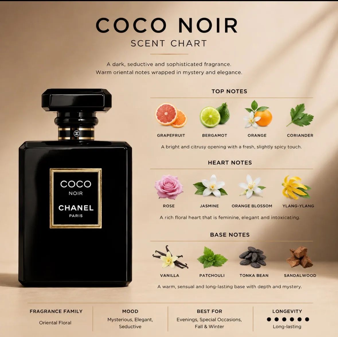 coco noir chanel paris